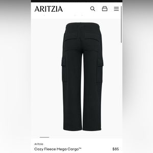 TNA Aritzia Mega Cargo Sweatpants